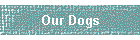 Our Dogs